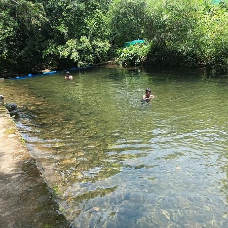 Tharayil Farm Stay Vagamon Buitenkant foto