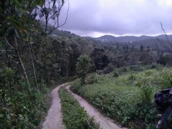 Tharayil Farm Stay Vagamon Buitenkant foto