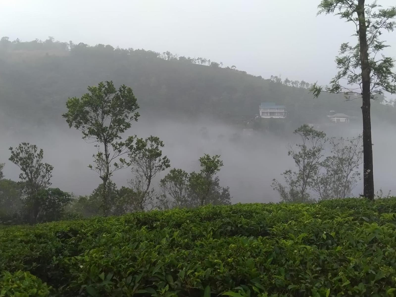 Tharayil Farm Stay Vagamon Buitenkant foto