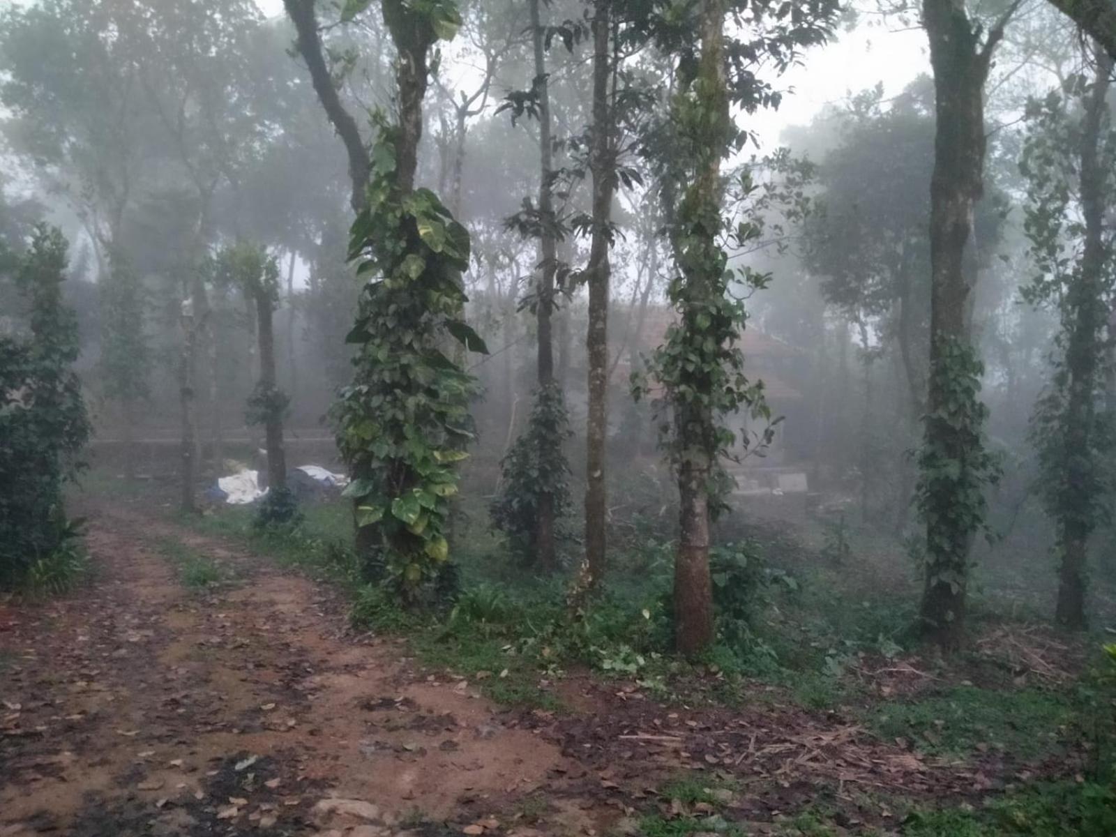 Tharayil Farm Stay Vagamon Buitenkant foto