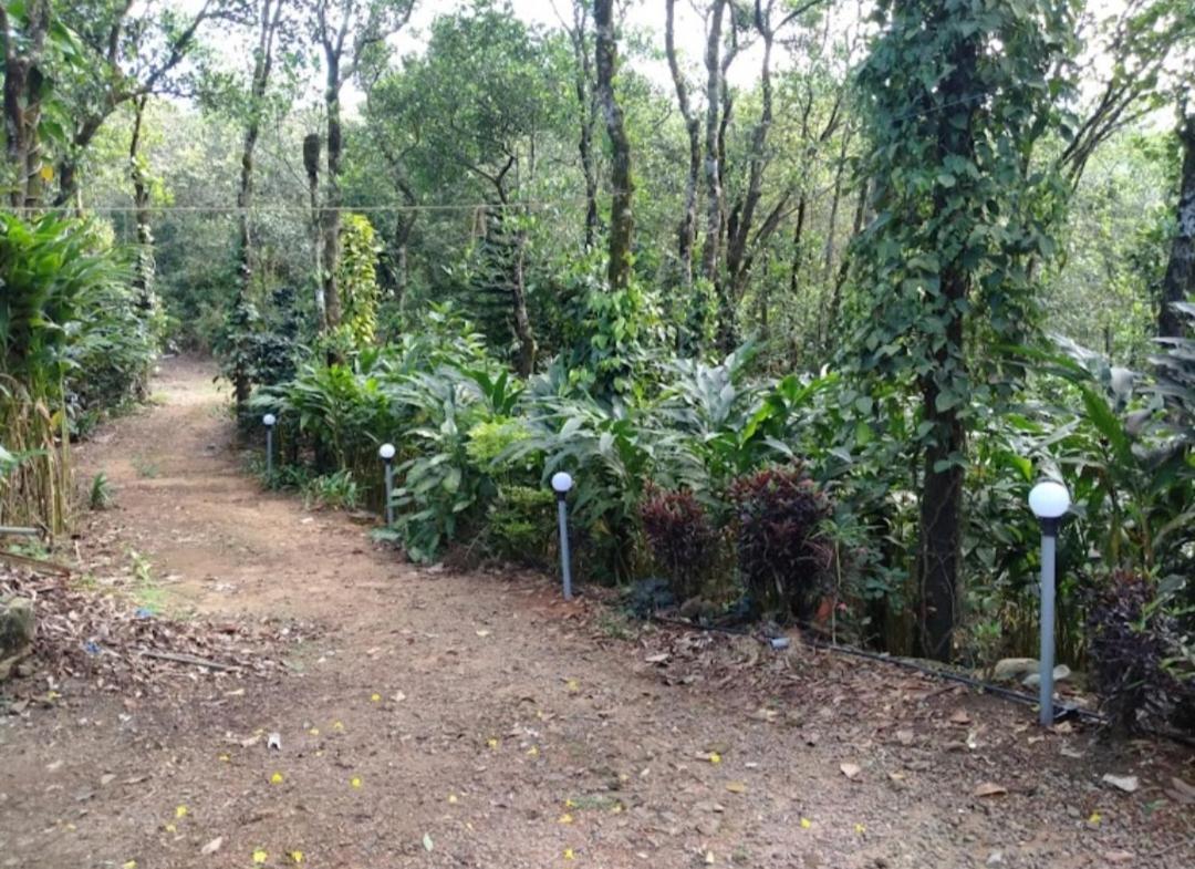 Tharayil Farm Stay Vagamon Buitenkant foto