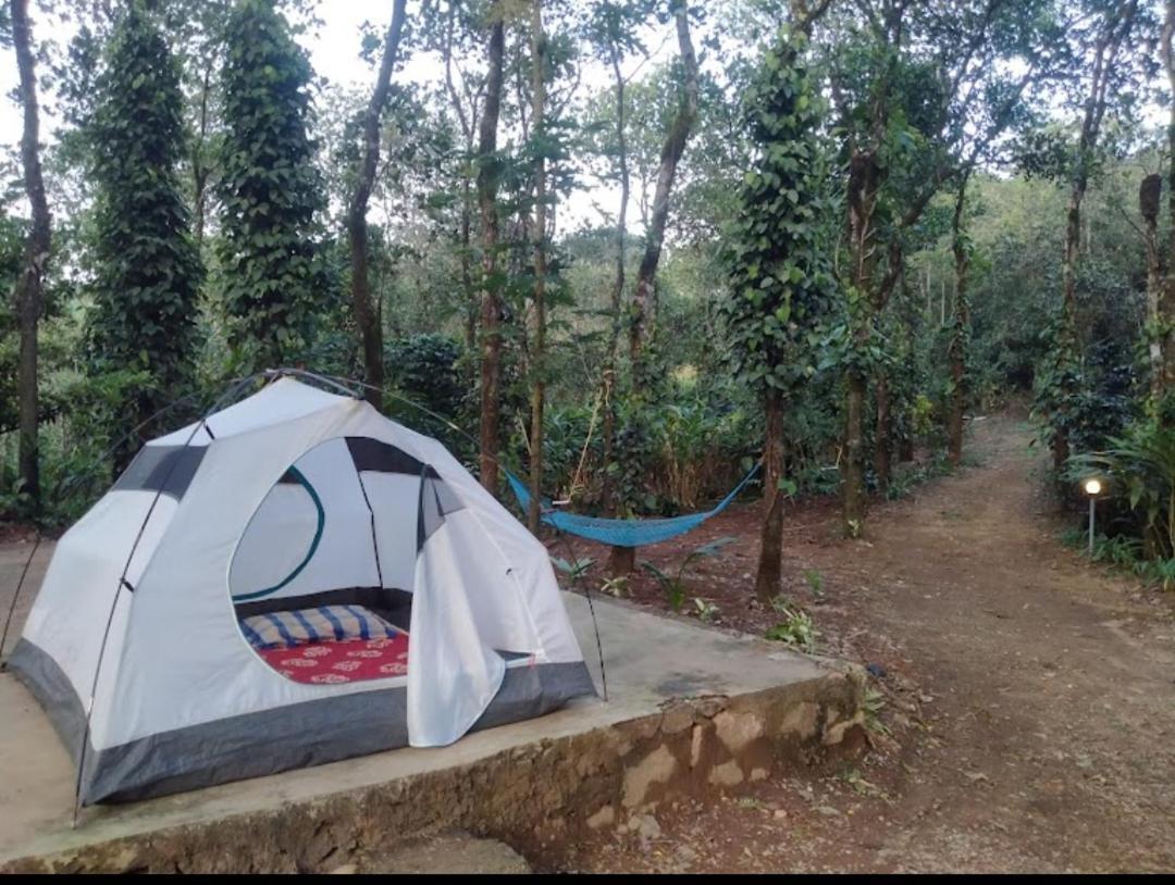 Tharayil Farm Stay Vagamon Buitenkant foto