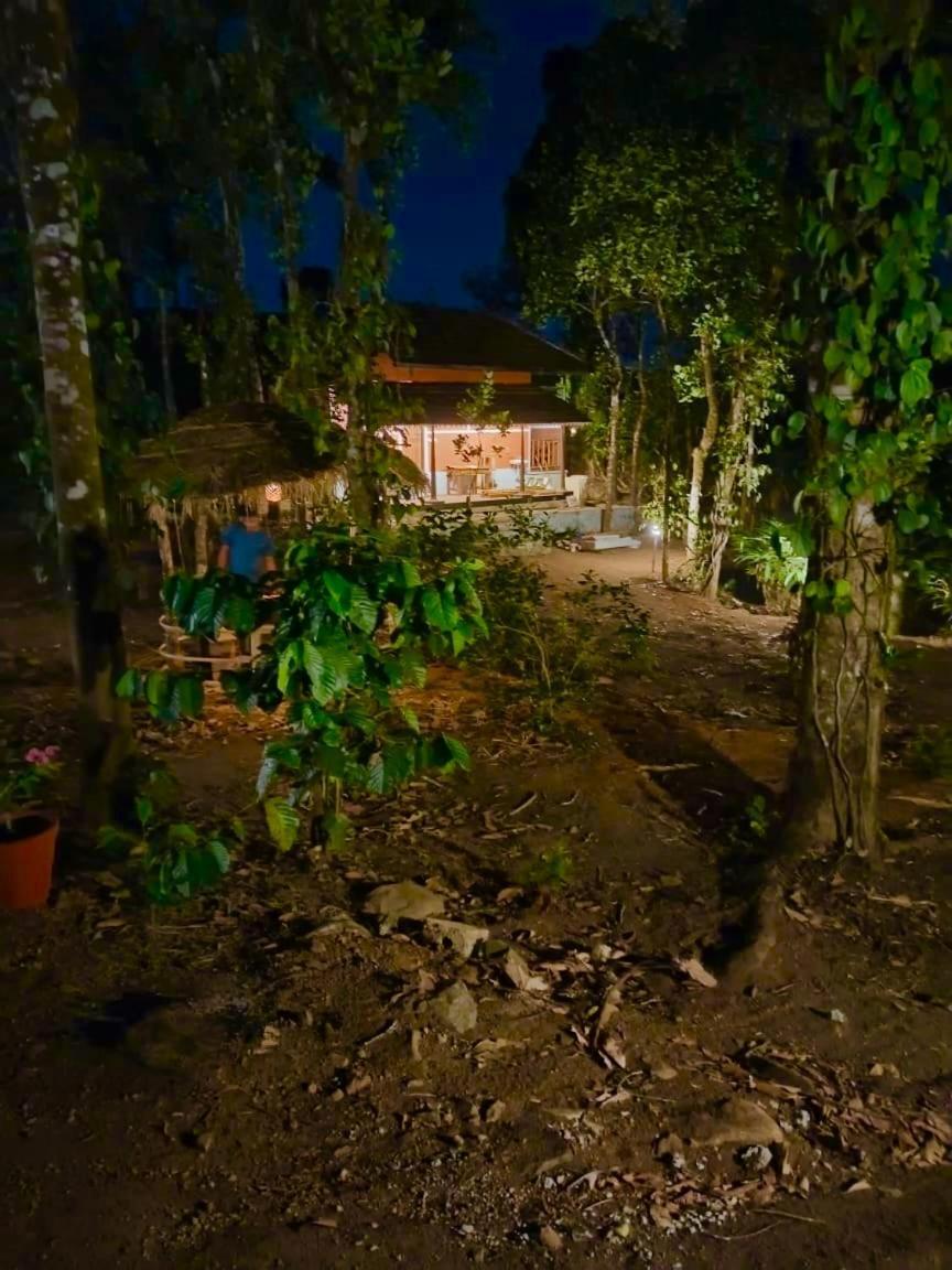 Tharayil Farm Stay Vagamon Buitenkant foto