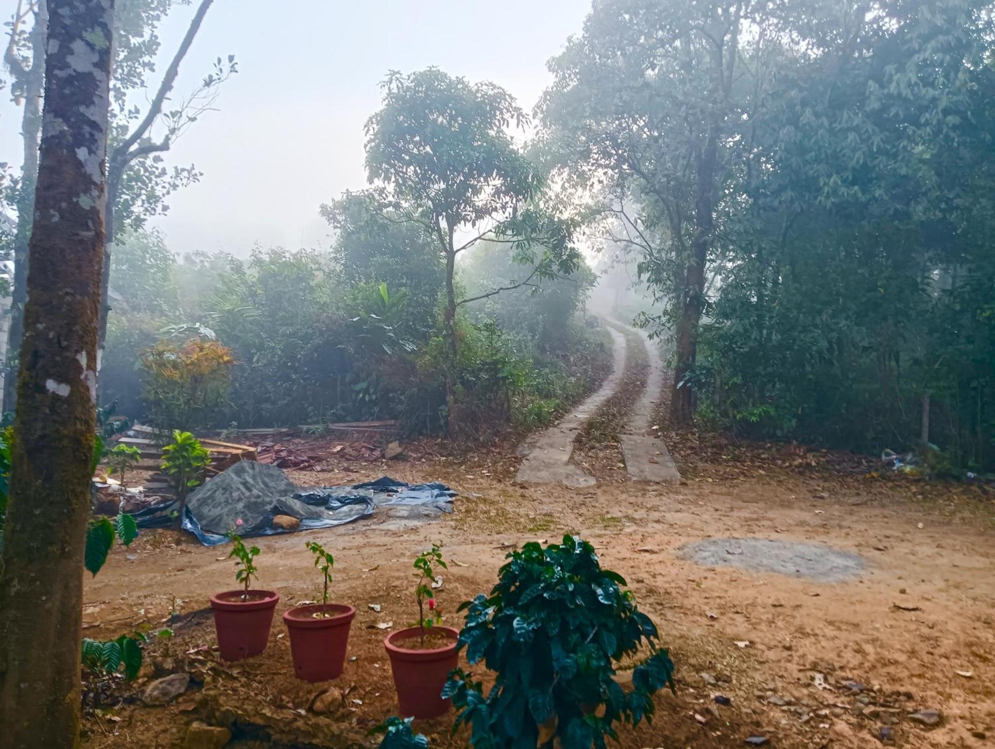 Tharayil Farm Stay Vagamon Buitenkant foto